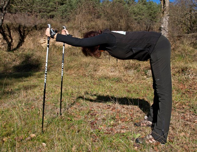 Exercicis d'estirament